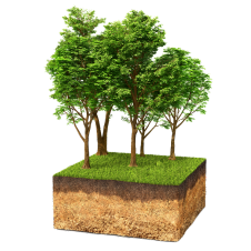 Grupo de máscara 29